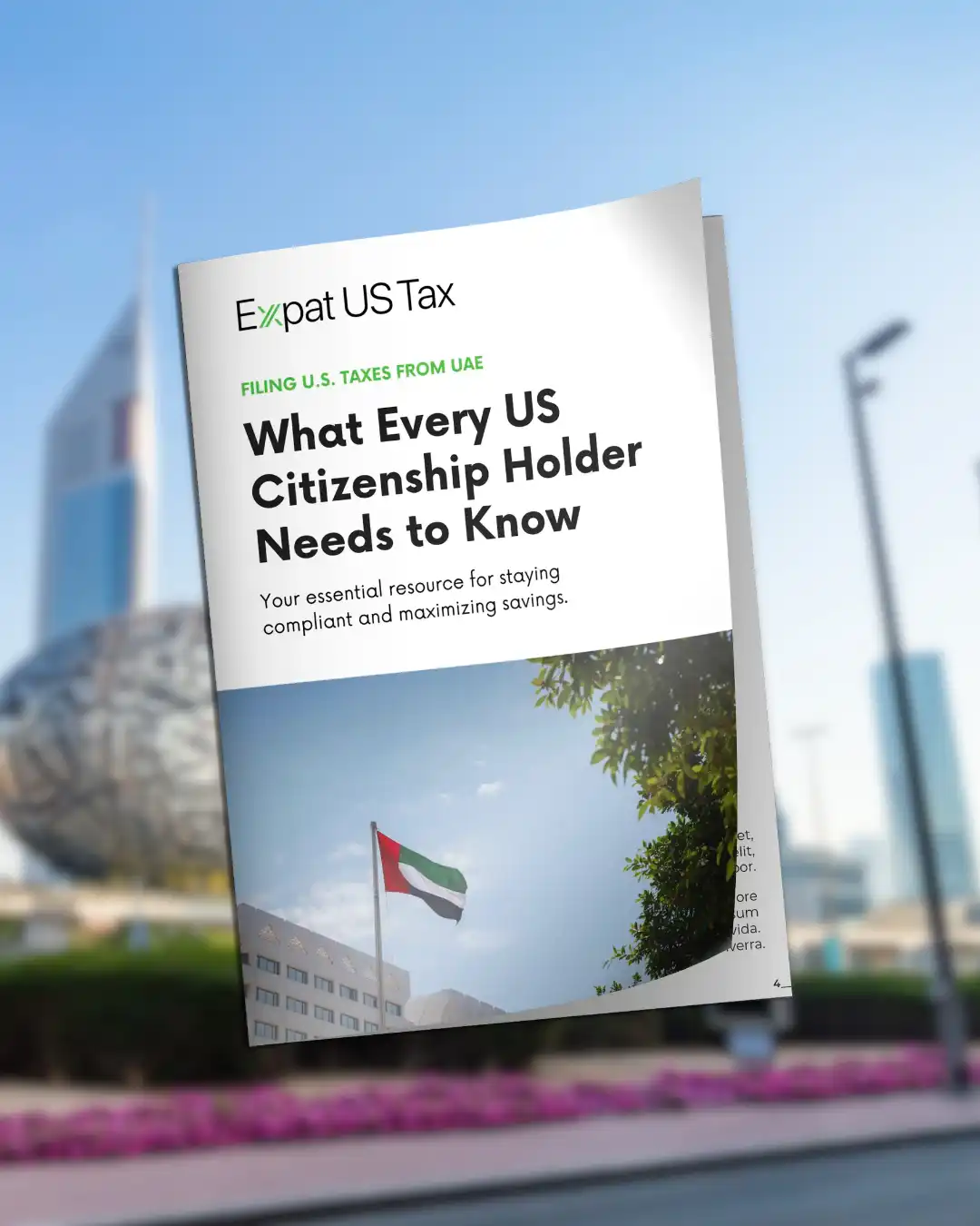 US Tax Guide in the UAE